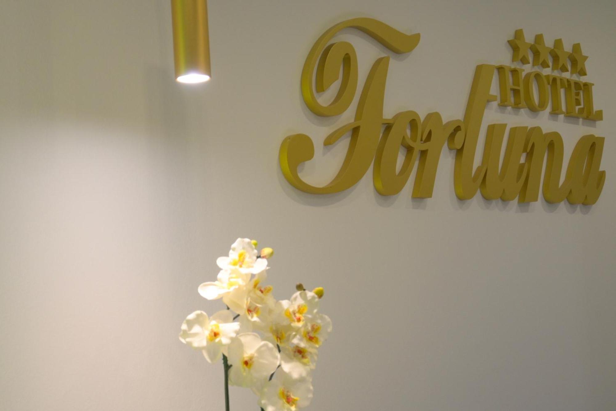 Fortuna Hotel 4*