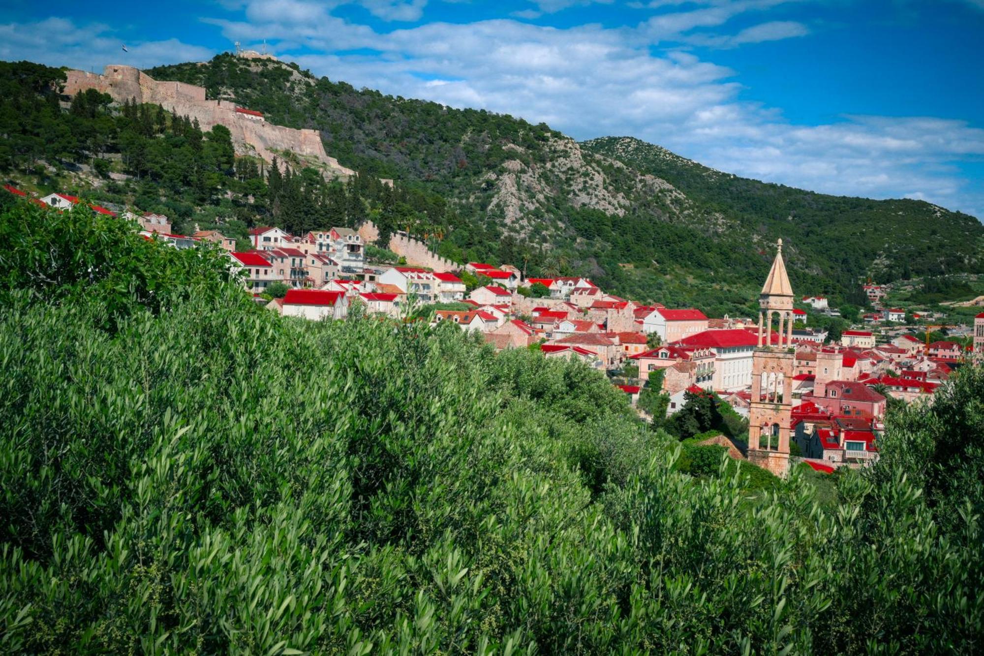 Hotel Fortuna